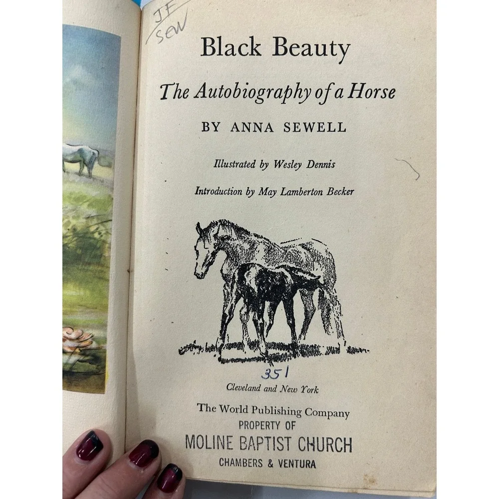 Black Beauty Anna Sewell 1946 Illustrated Classic Horse‎ Autobiography